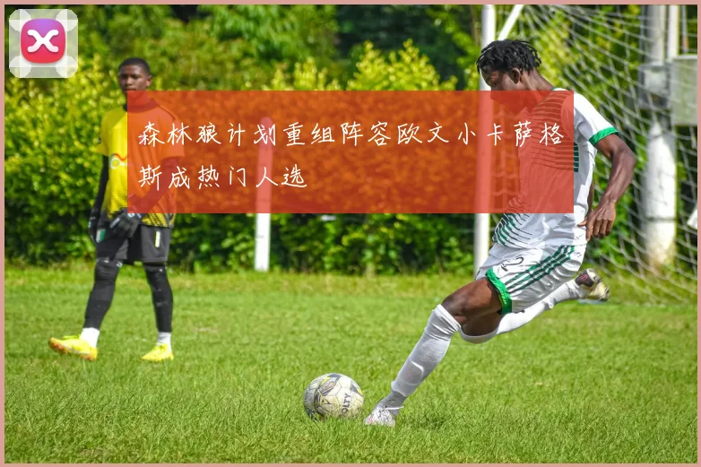 森林狼计划重组阵容欧文小卡萨格斯成热门人选